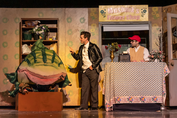 Photos: First look at Wagnalls Community Theatre's LITTLE SHOP OF HORRORS Image