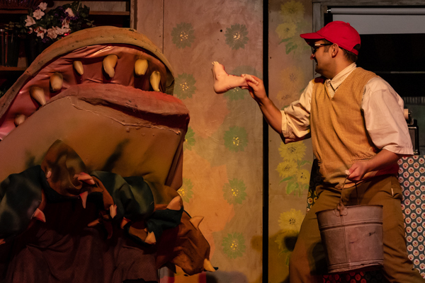 Photos: First look at Wagnalls Community Theatre's LITTLE SHOP OF HORRORS Image