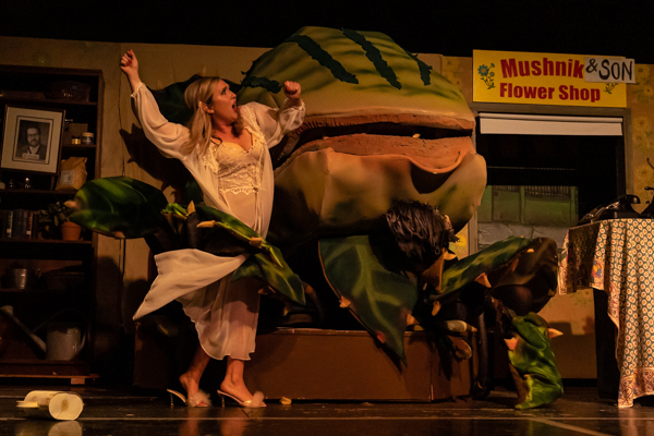 Photos: First look at Wagnalls Community Theatre's LITTLE SHOP OF HORRORS Image