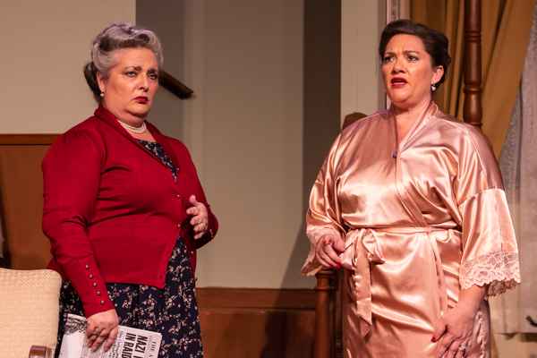 Photos: First look at Hilliard Arts Council's THE LAST NIGHT OF BALLYHOO Image