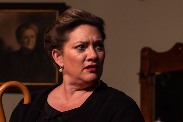 Photos: First look at Hilliard Arts Council's THE LAST NIGHT OF BALLYHOO Image