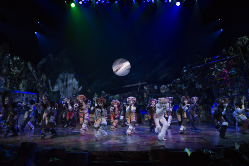 Review: CATS THE MUSICAL, International Tour Image