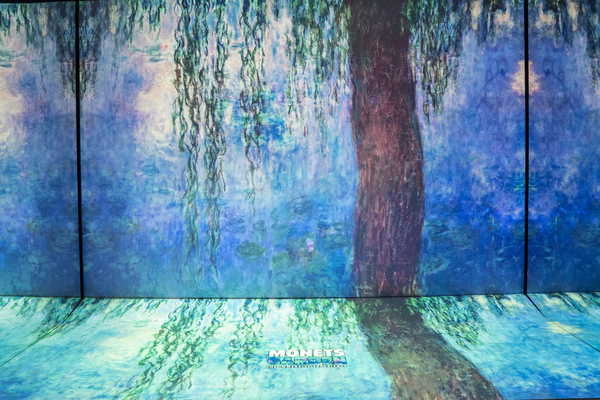 Photos/Video: First Look at MONET'S GARDEN THE IMMERSIVE EXPERIENCE Image