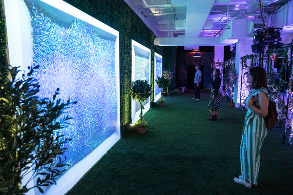 Photos/Video: First Look at MONET'S GARDEN THE IMMERSIVE EXPERIENCE Image