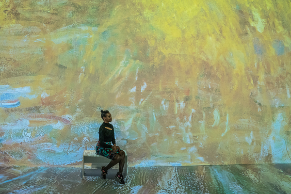 Photos/Video: First Look at MONET'S GARDEN THE IMMERSIVE EXPERIENCE Image