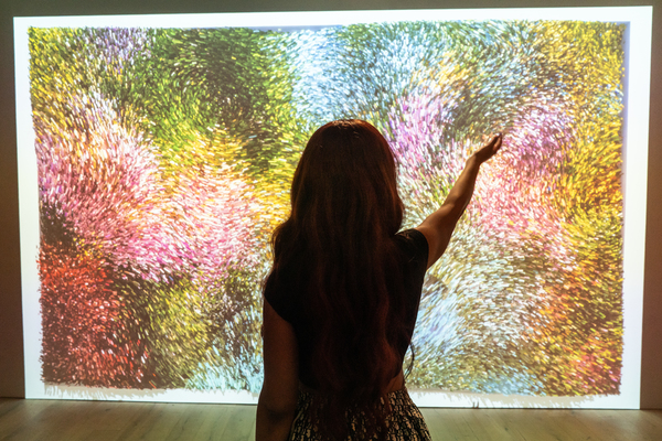 Photos/Video: First Look at MONET'S GARDEN THE IMMERSIVE EXPERIENCE Image