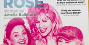 Review: DI AND VIV AND ROSE at The Pumphouse Theatre, Takapuna, Auckland Photo