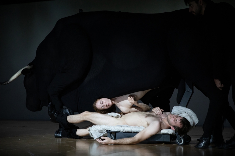 Review: TRANSVERSE ORIENTATION at BAM's Howard Gilman Opera House Image