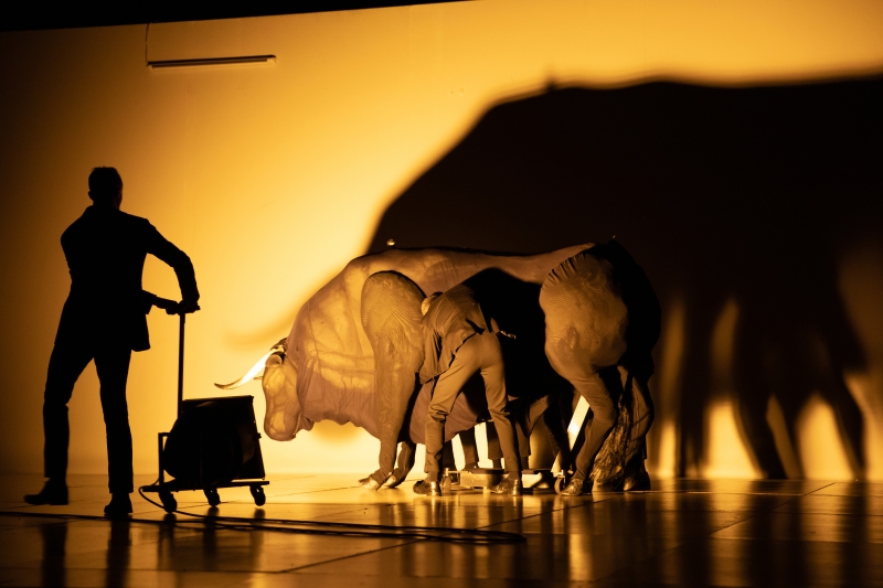 Review: TRANSVERSE ORIENTATION at BAM's Howard Gilman Opera House Image