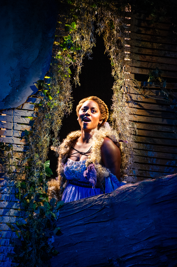 Photo Exclusive: First Look at INTO THE WOODS at Signature Theatre Image