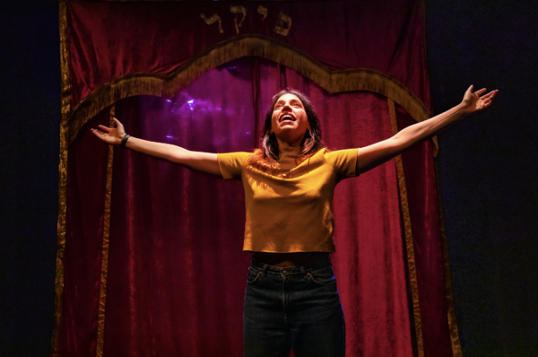 Photos: First Look at Deli Segal in PICKLE at the Park Theatre Image