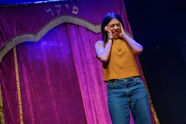 Photos: First Look at Deli Segal in PICKLE at the Park Theatre Image