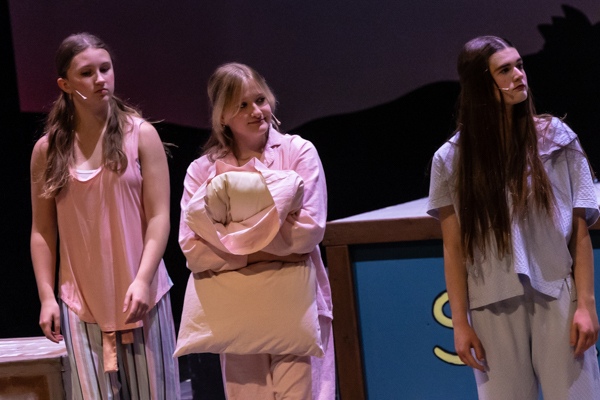 Photos: First look at Dublin Jerome High School's THE MUSICAL ADVENTURES OF FLAT STANLEY, JR. 