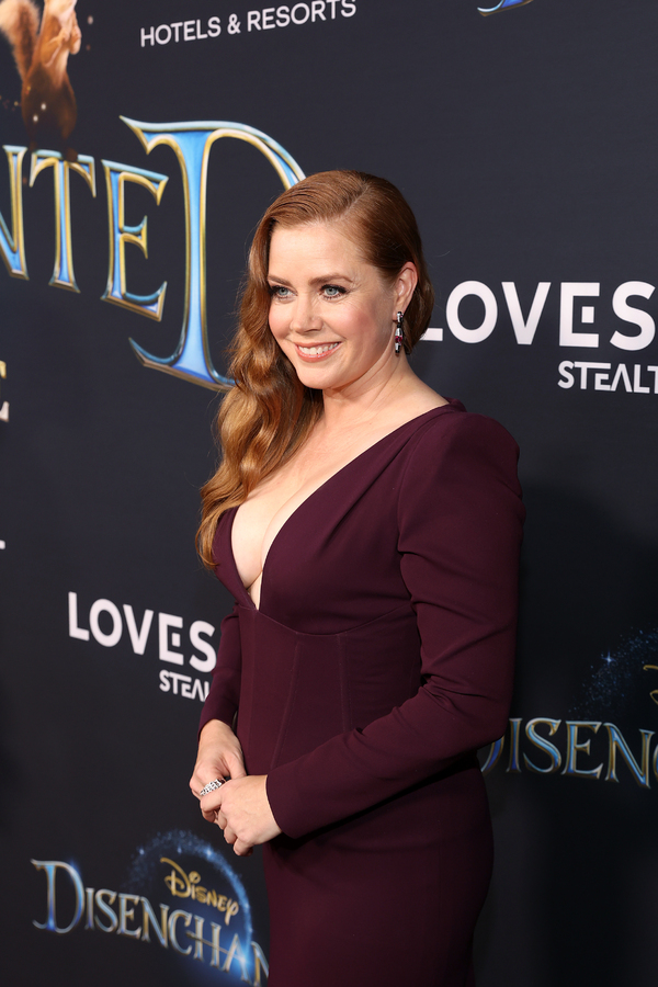 Photos: Idina Menzel, Amy Adams & the DISENCHANTED Cast Hit the Red Carpet at Hollywood Premiere Image