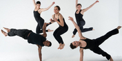 SYREN Modern Dance Announces 20th Anniversary Season, Celebrating With 20 Engagements Acro Photo
