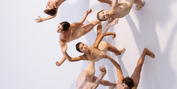 Dutch National Ballet's Junior Company Presents BALLET BUBBLES Photo