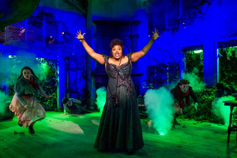 Review: INTO THE WOODS at Signature Theatre Image