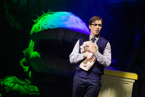 Photos: First Look at Matt Doyle as 'Seymour' in LITTLE SHOP OF HORRORS Image