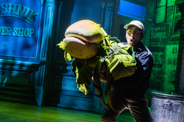 Photos: First Look at Matt Doyle as 'Seymour' in LITTLE SHOP OF HORRORS Image