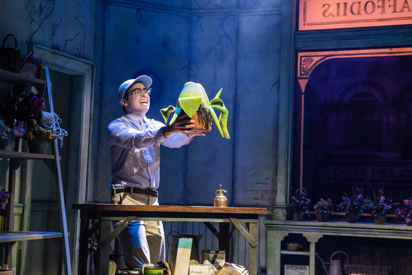 Photos: First Look at Matt Doyle as 'Seymour' in LITTLE SHOP OF HORRORS Image