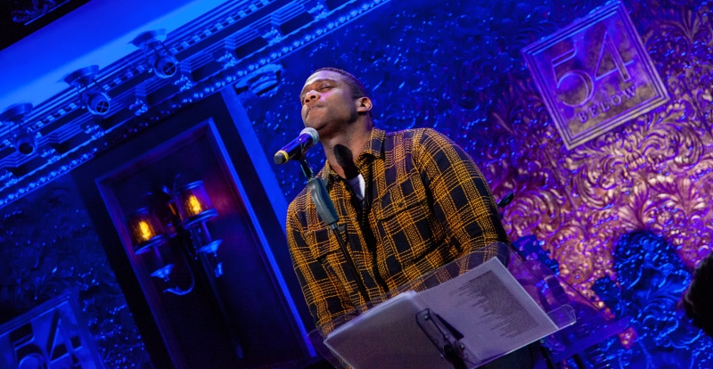 Photos: 54 SINGS FOR PLANNED PARENTHOOD at 54 Below Image