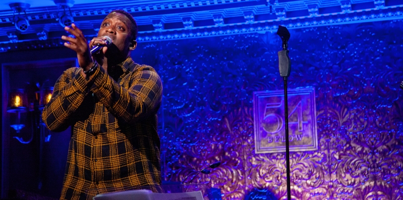 Photos: 54 SINGS FOR PLANNED PARENTHOOD at 54 Below  Image