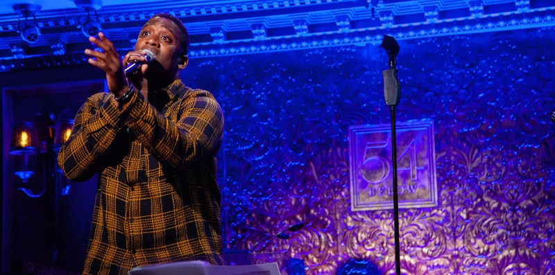 Photos: 54 SINGS FOR PLANNED PARENTHOOD at 54 Below Image