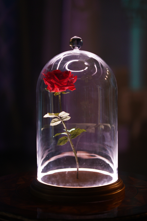 Photos: Inside BEAUTY & THE BEAST: A 3OTH CELEBRATION Rehearsals Image