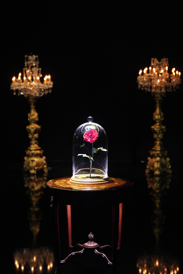 Photos: Inside BEAUTY & THE BEAST: A 3OTH CELEBRATION Rehearsals Image