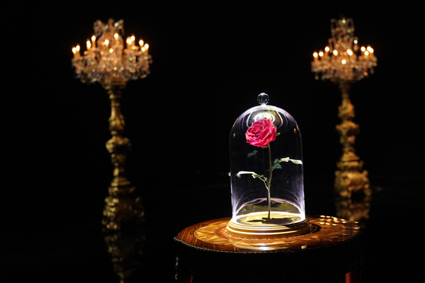 Photos: Inside BEAUTY & THE BEAST: A 3OTH CELEBRATION Rehearsals Image