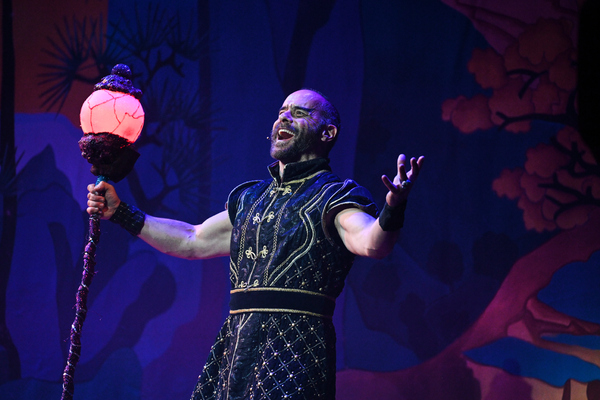 Photos & Video: First Look at ALADDIN Panto at Wolverhampton Grand Theatre Image