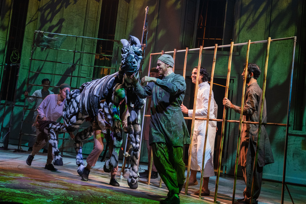 Photos: First Look at LIFE OF PI North American Premiere at American Repertory Theater Image