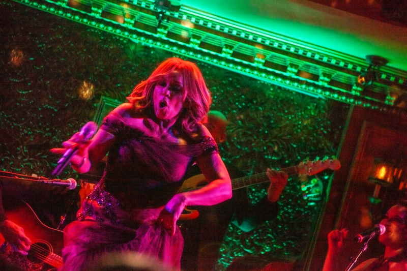 Review: Vanessa Williams Makes THE DIAMOND SERIES At 54 Below Shine Bright As The Biggest Star In The Sky Image