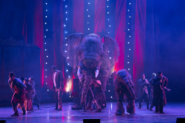 Photos: First Look at CIRCUS 1903 at the Eventim Apollo  Image