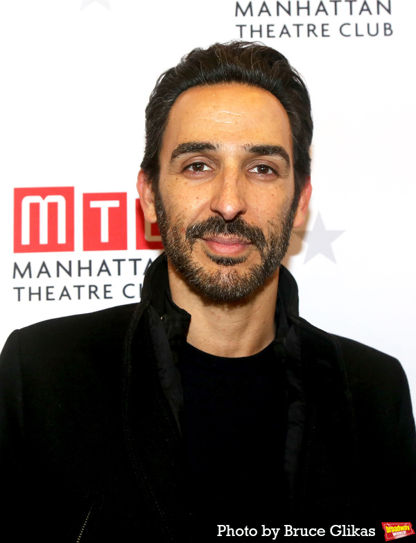 Photos: On the Red Carpet at Opening Night of THE COLLABORATION Ahead of Cancelled Performance Image