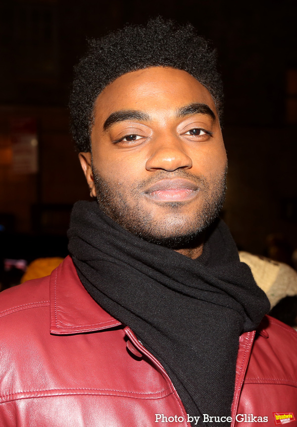 Photos: On the Red Carpet at Opening Night of THE COLLABORATION Ahead of Cancelled Performance Image