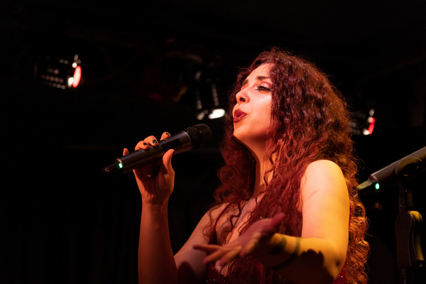Photos: Go Inside A VERY HARRIS CHRISTMAS at Don't Tell Mama Image