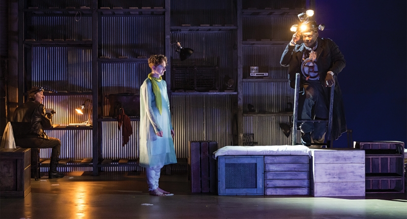 Review: THE LITTLE PRINCE at Guthrie Theater Image