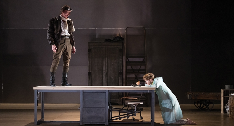 Review: THE LITTLE PRINCE at Guthrie Theater Image