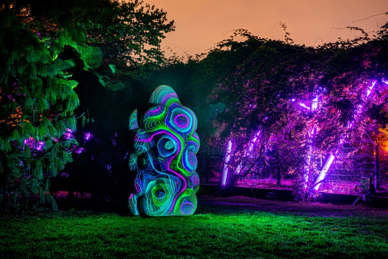 GROUNDS FOR SCULPTURE Presents a Spectacular Exhibition “Night Forms: Infinite Waves” 
