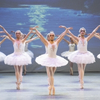 Photos: First Look at SWAN LAKE & THE NUTCRACKER From the Varna International Ballet's Deb Photo