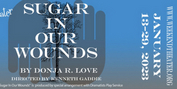 Review: SUGAR IN OUR WOUNDS at The Weekend Theater Photo