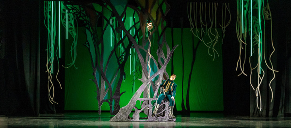 Photos: First Look at ARIODANTE at Pittsburgh Opera Image