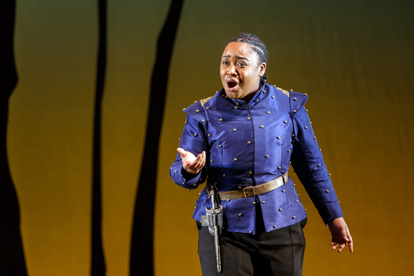 Photos: First Look at ARIODANTE at Pittsburgh Opera Image