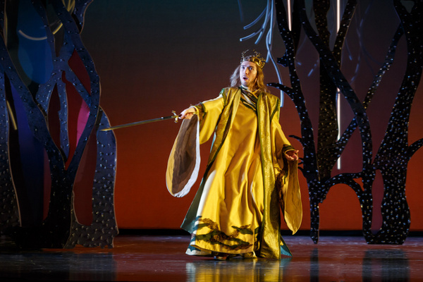 Photos: First Look at ARIODANTE at Pittsburgh Opera Image