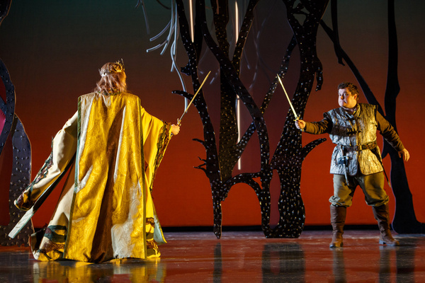 Photos: First Look at ARIODANTE at Pittsburgh Opera Image