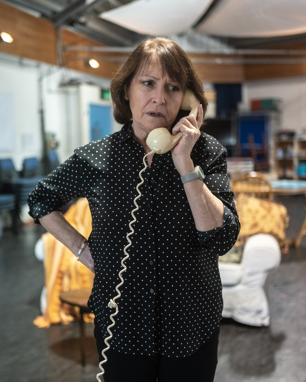 Photos: Inside Rehearsal For Wiltshire Creatives' HOW THE OTHER HALF LOVES Image