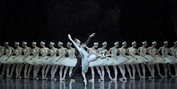 New National Theatre Presents SWAN LAKE in June Photo