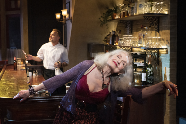 Photos: First Look at Norbert Leo Butz, George Abud, Mary Beth Peil & More in CORNELIA STREET World Premiere Image