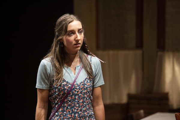 Photos: First Look at Norbert Leo Butz, George Abud, Mary Beth Peil & More in CORNELIA STREET World Premiere Image